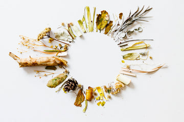 WHY WILDERKINS USES ONLY PURE, SUSTAINABLY SOURCED ASHWAGANDHA & BRAHMI